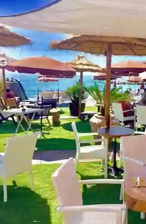 Plage privée - La Playa - Restaurant Villeneuve-Loubet - restaurant Fruits de mer VILLENEUVE-LOUBET